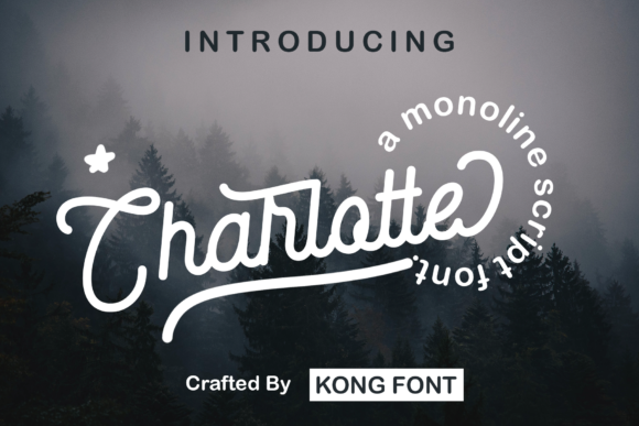 Charlotte: A Vintage Script Font with Delicate Charm for Creatives and Designers