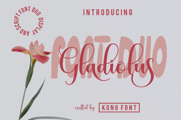 Gladiolus: A Playful Script Font That Works